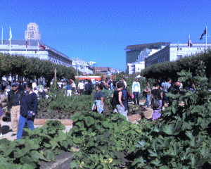 Victory garden
